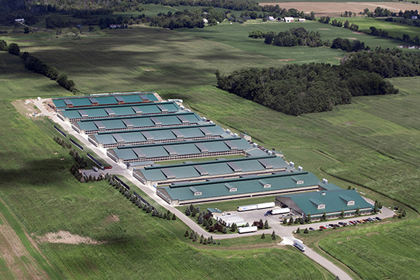 Blowing Mould Co.,Ltd